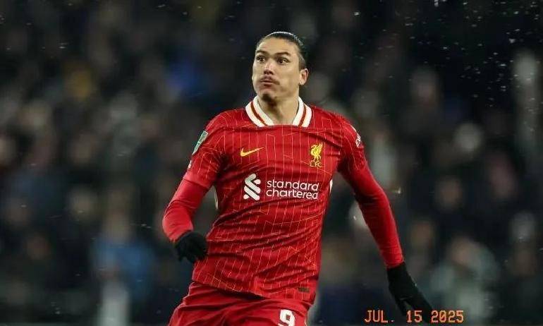 image, 率不高 image, 率不高