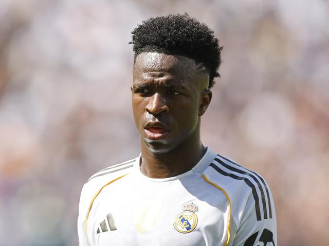 我相信维尼, 所以