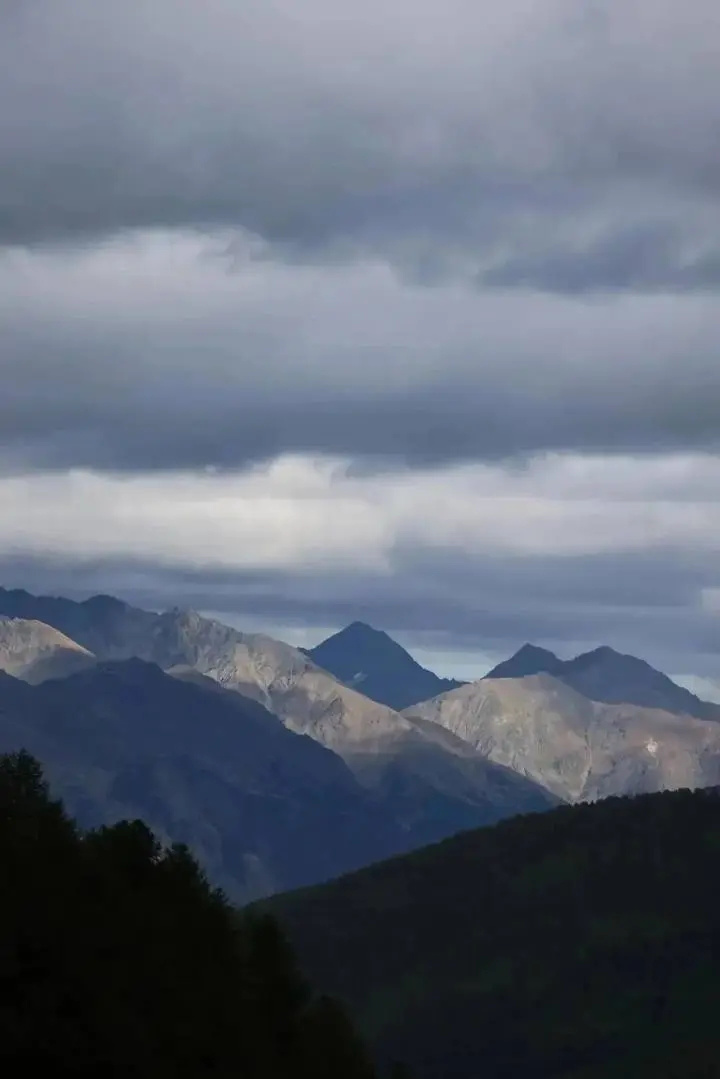 囊直奔意大, 分享喜悦, img