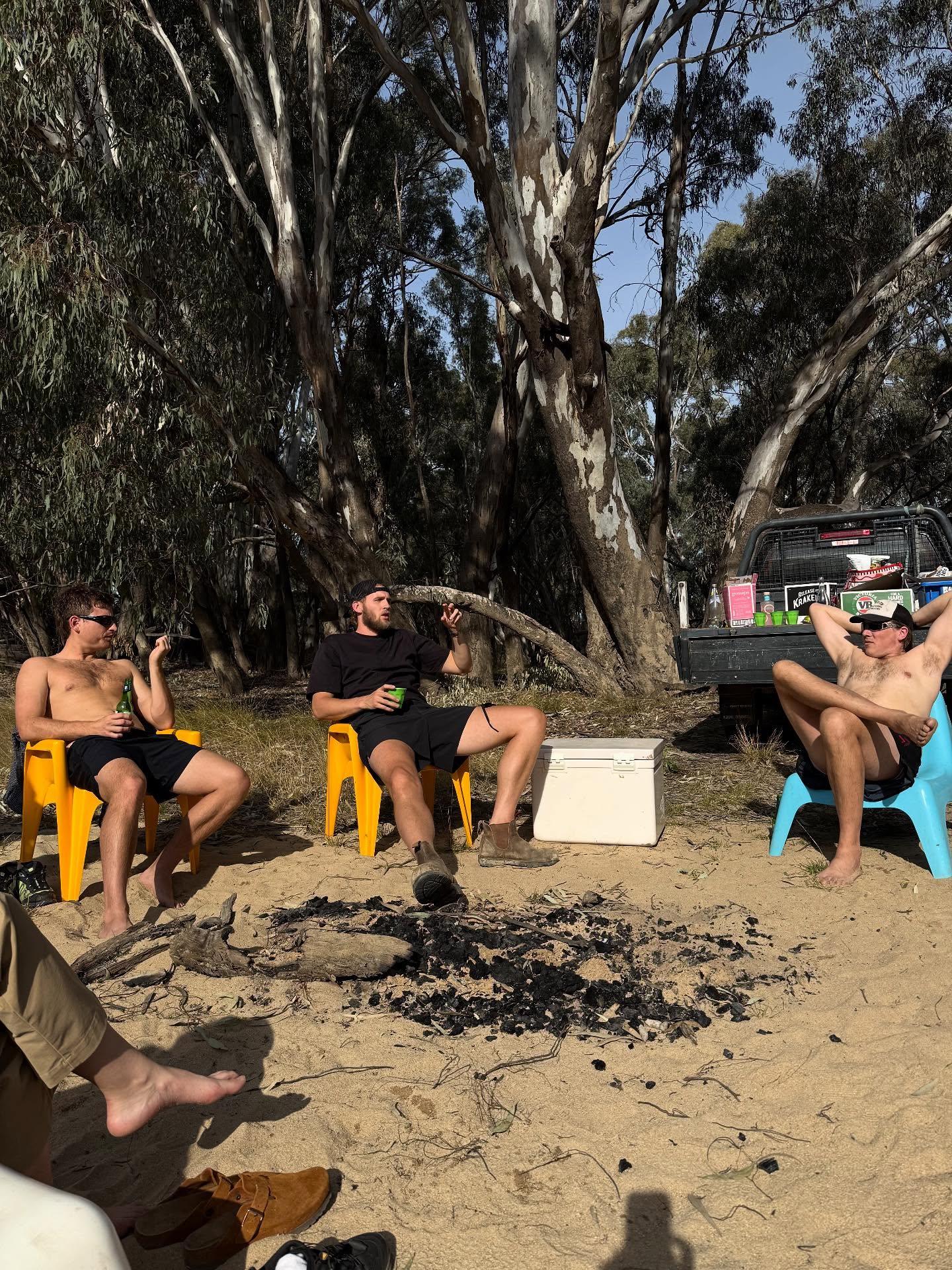 虎扑, entit, 加盟灰熊