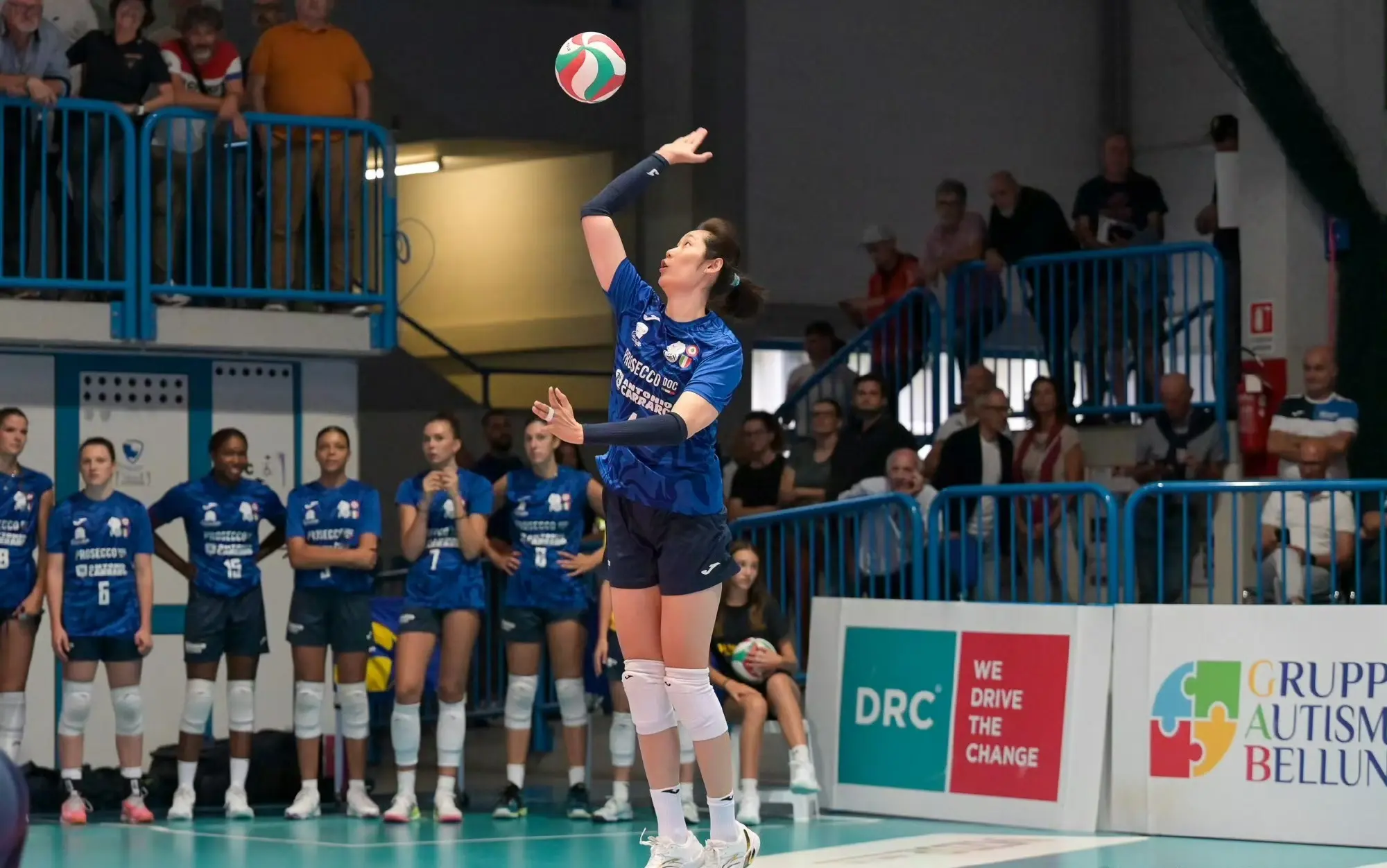 div, 完女排世锦