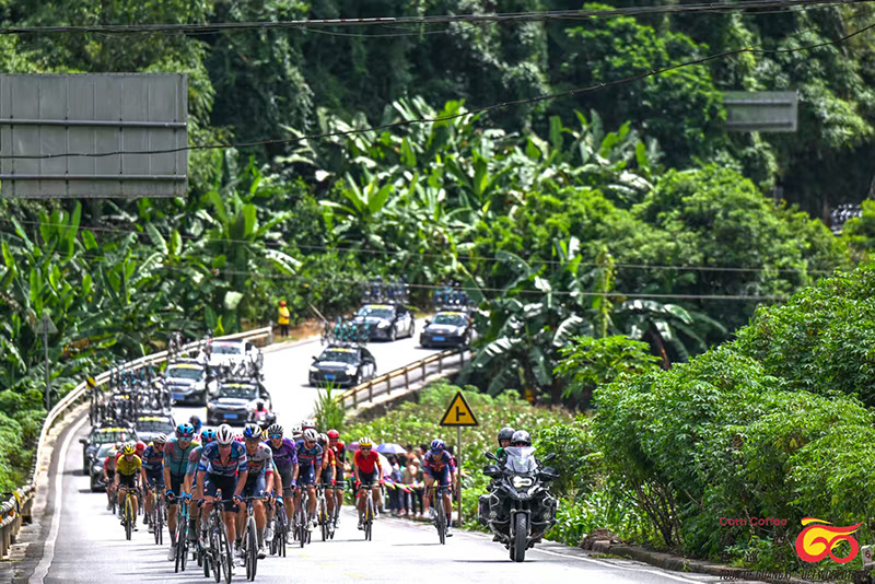 Qyhvy, 自治区公路